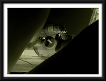 on the "in" side 
(excerpts from the Narcissist series)